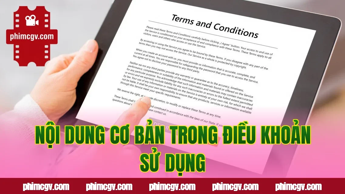 Nội dung cơ bản trong điều khoản sử dụng