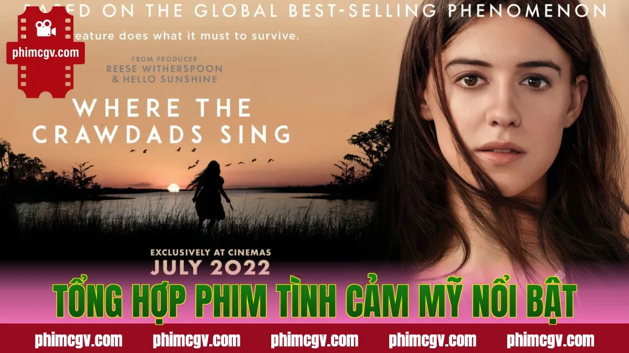 Tổng hợp phim tình cảm Mỹ nổi bật